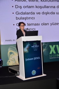 XVI. Ulusal Viral Hepatit Kongresi galeri resimleri