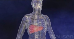 Hepatit